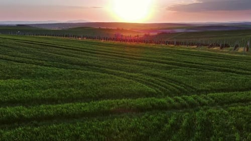 Wellenförmige Hügel bei Sonnenuntergang mit landwirtschaftlichen Feldern