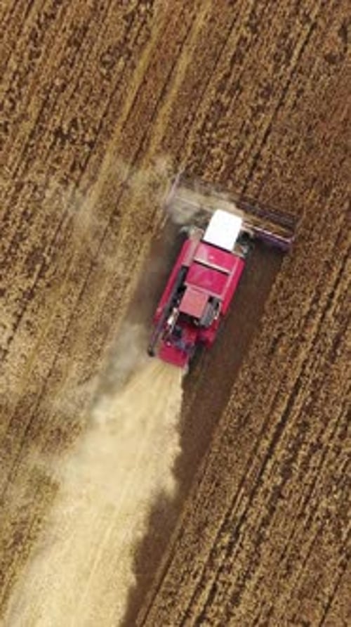 Top view of combine on harvest field