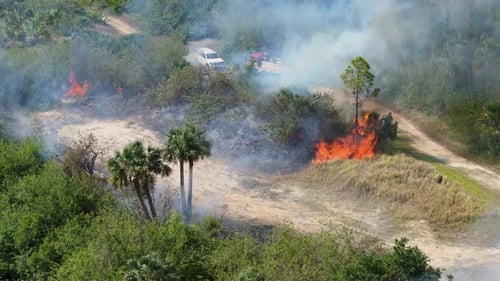 Brush Fire Rages Through Parched Forest in Florida During Dry Season As Firefighters Contain Thick