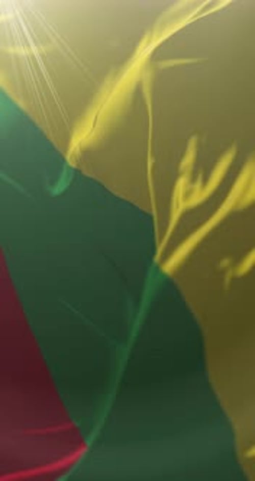 Animated Vertical Waving Flag Background