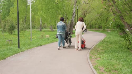 Path Guiding Companionship Guided Journey With Child And Assistance An Inclusive Outdoor Walk
