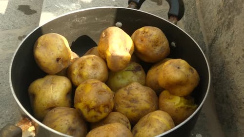 Hand Inspecting Potatoes in a Cooking Pot