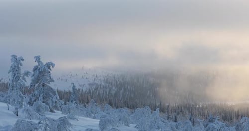 Winter landscape in Pallas Yllastunturi National Park, Lapland, Finland