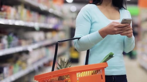 Woman Shopping with a Basket and Using Phone
