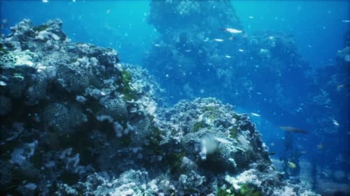 Ein lebendiges Unterwasserkorallenriff voller vielfältiger Fischschwärme