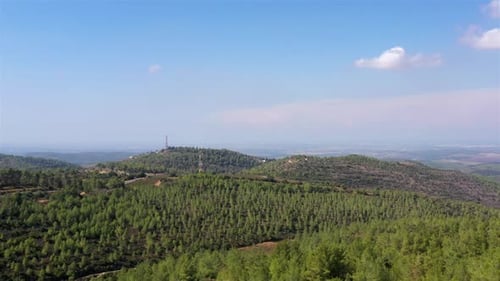 Luftaufnahmen über einer großen Antenne auf Hügeln mit Pinienwald