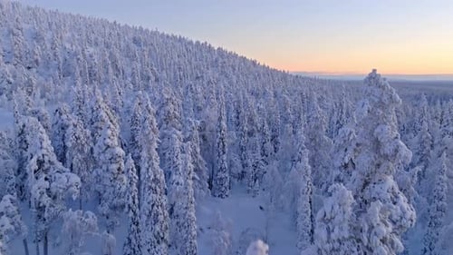 Drone flying over forest and hills, during the polar night season in Lapland