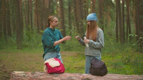 Young Women Enjoy Warm Drink and Friendship in Serene Forest