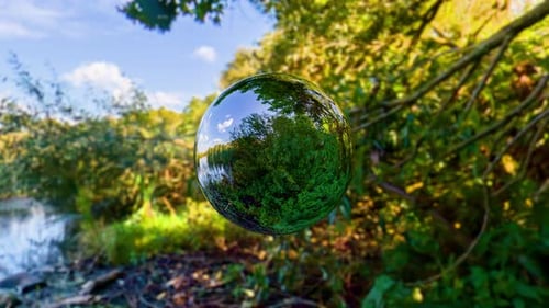 3D-Renderer mit rotierender Spiegelkugel in der Nähe des Teichs. Umweltschutzkonzept, Natur