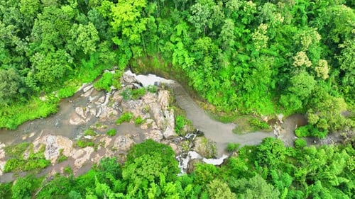 Lush green forest embraces stunning waterfall.