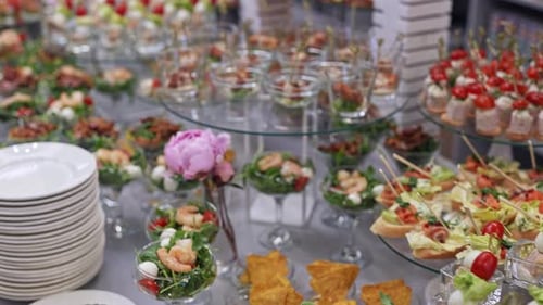 Buffet and Snacks at a Business Event Catering Serves a Banquet Beautiful and Neat Snacks are Laid