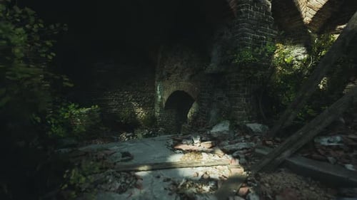 Exploring an Abandoned Structure with Overgrown Vegetation in a Dimly Lit Area