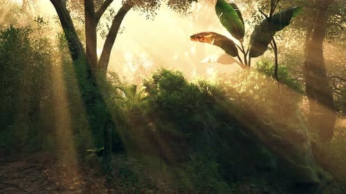 Sunlight Filtering Through Trees in a Lush Forest During the Early Morning