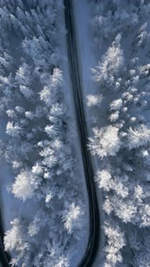 Scenic Road Through a Snowy Winter Mountain Forest