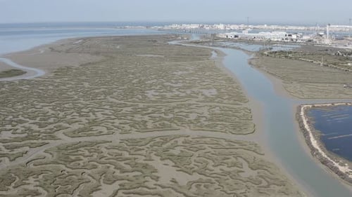 Aerial view over Shallow sea vegetation coastline, Spain