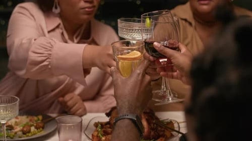 Friends Toasting Drinks During an Indoor Dinner Party