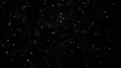 Abstract Particle Animation on Black Background