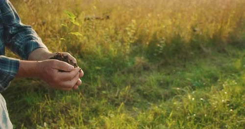 An Elder Passes a Tree Seedling to Younger Hands Celebrating Forest Conservation World Environment