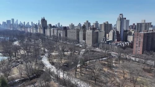Central Park. Downtown City. Leisure Park Landscape. Metropolitan District.