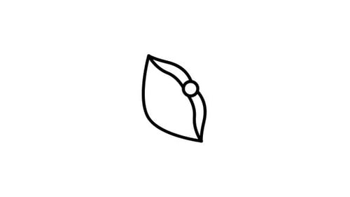 Archery Animated Icon