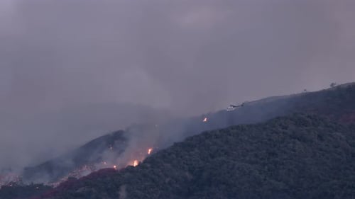 Un feu de forêt fait rage dans les montagnes de Los Angeles : une bataille désespérée contre la fureur de la nature