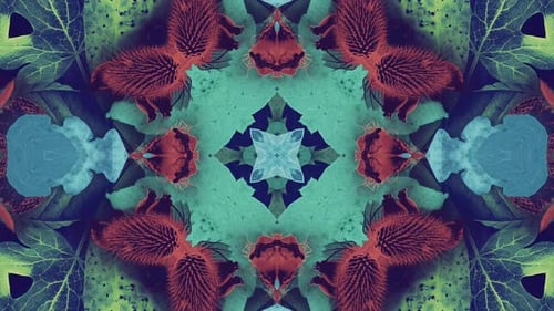 Abstract Organic Kaleidoscope Pattern Loop with Morphing Nature Elements