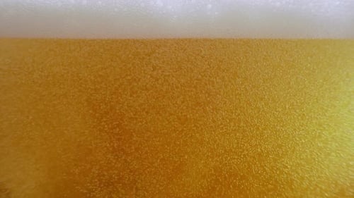 Close-Up Shot of Beer Bubbles