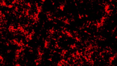 Abstract Red Fractal Waves Background