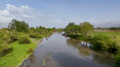 Beautiful Landscape River