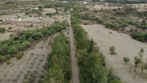 Forward Drone Flight Over Tree-Lined Dirt Road 4K Golden Hour Journey