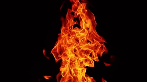 Long fire flame rising up. Burning bonfire in the darkness isolated close up.