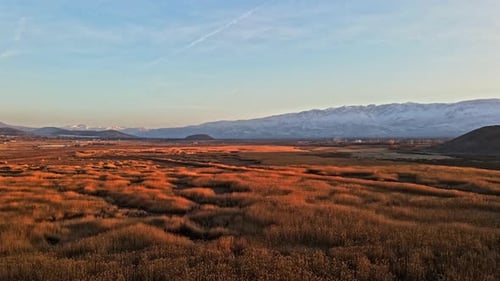 Montañas nevadas y juncos