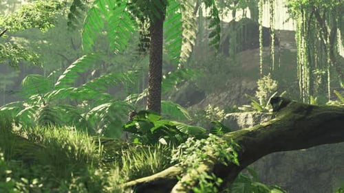 Way in Jungle of Malaysia