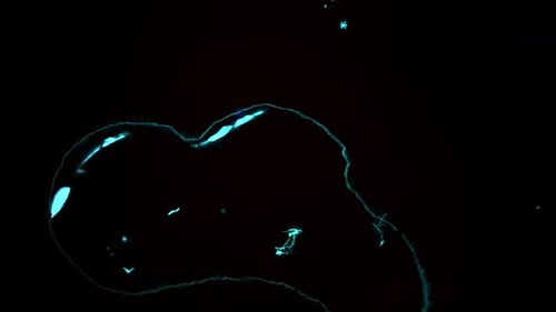 Exploring the Cosmic Wonders of Celestial Bodies in the Enveloping Darkness of Space
