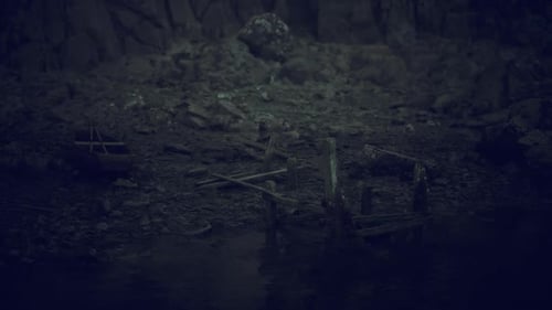 Enchanted Wooded Pool Mirrors Soft Lunar Illumination on Wet Ground