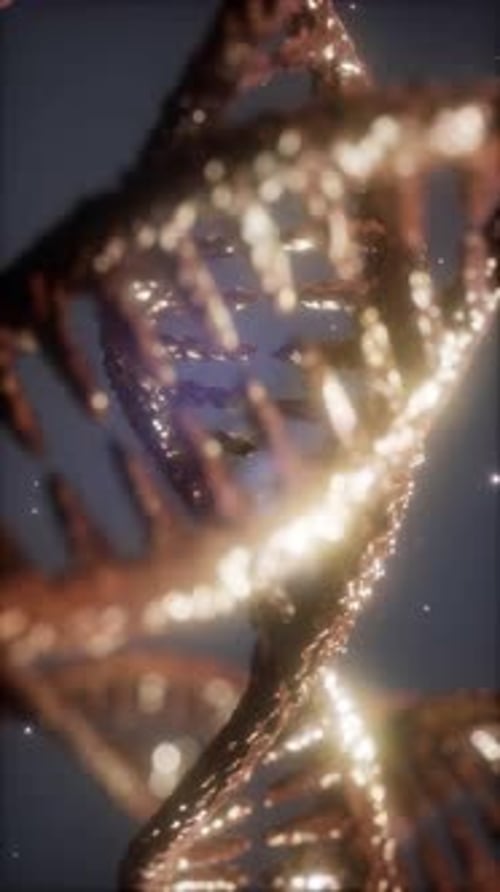 Double Helical Structure of Dna Strand Closeup Animation