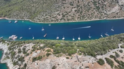 Scenic tropical coastline captured from aerial perspective.