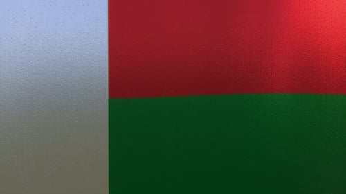 Waving Flag of Madagascar with Realistic Fabric Texture
