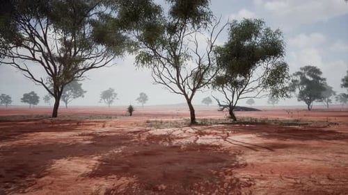 Landscape with a Cluster of Trees Standing Tall in the Middle of an Open Field