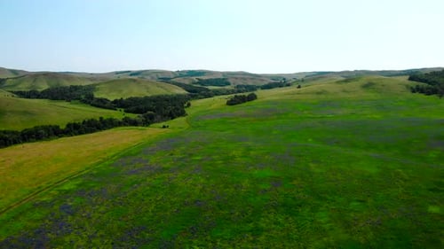 Aerial View of Green Hills and Flowering Fields Media