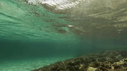 Schnorcheln in klarem, flachem Wasser