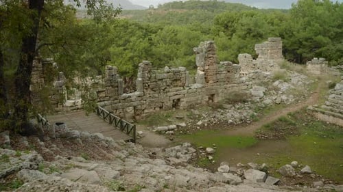 Panorama of the amphitheater in the forest, the ancient Lycian city of Phaselis.