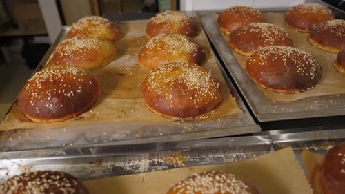 Closeup of Freshly Baked Burger Buns with Sesame Seeds in the Restaurant Kitchen