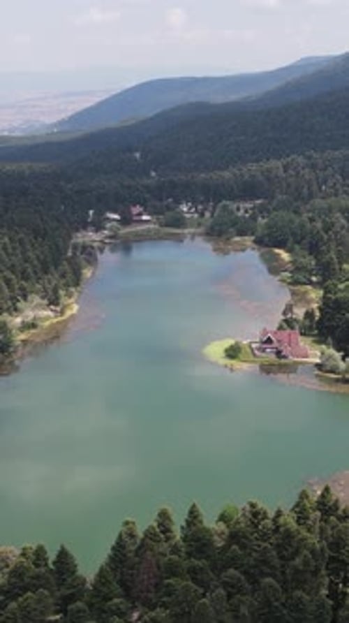 Natural Lake Between Forest