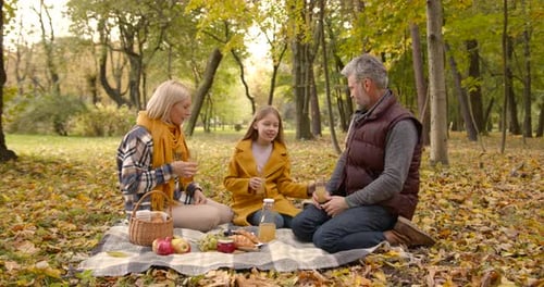 Family Picnic on Cozy Autumn Day in the Forest