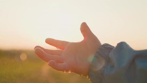 Hand Reaching for Rain in Golden Sunlight