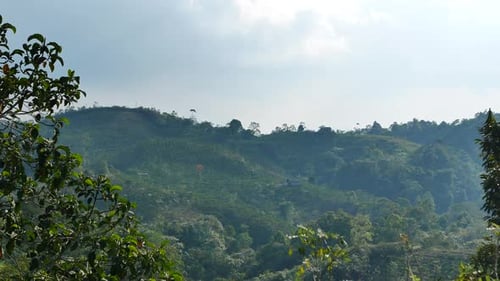natural views of hills and mountains