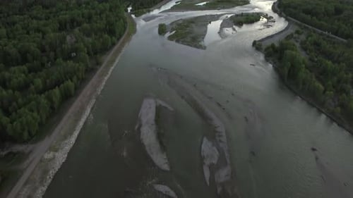 Drone River View Through Forest Trees