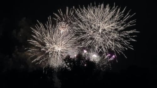 Fogos de artifício festivos atrás das árvores