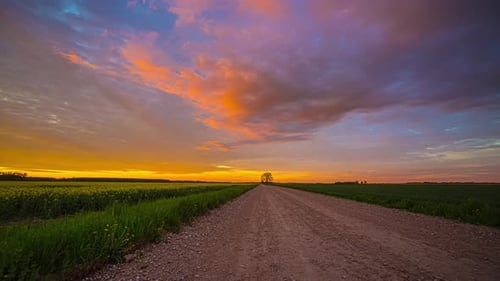 5K Timelapse of empty path between canola fields during beautiful sunset and flying clouds at multi-